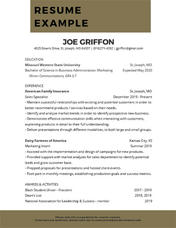 Resume Example