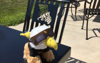 Max the Griffon is ready for the eclipse-2