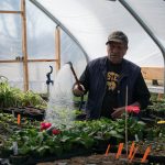 Greenhouse worker